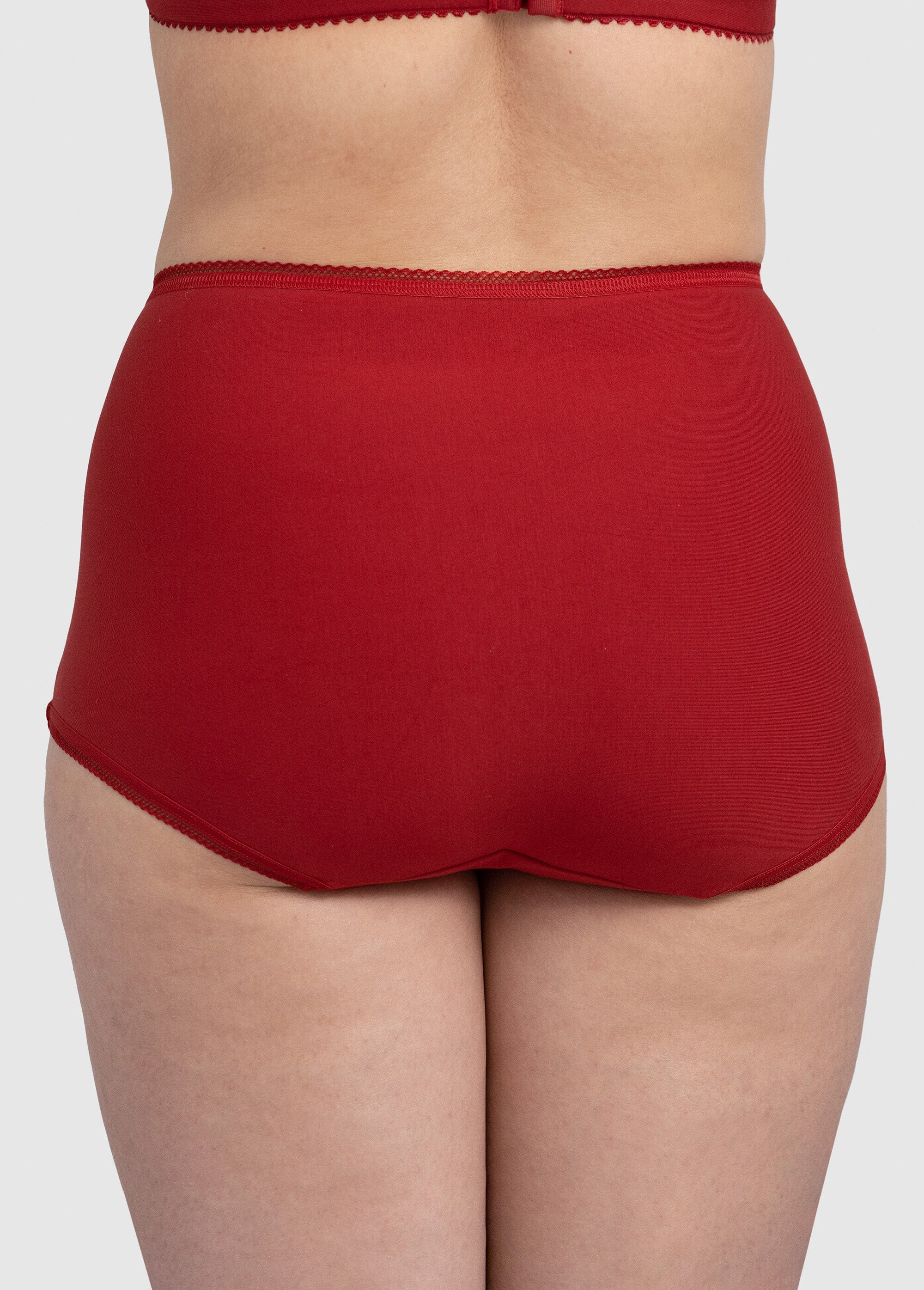 High-waisted_lace_panty_girdle_Carmine_DO1_slim