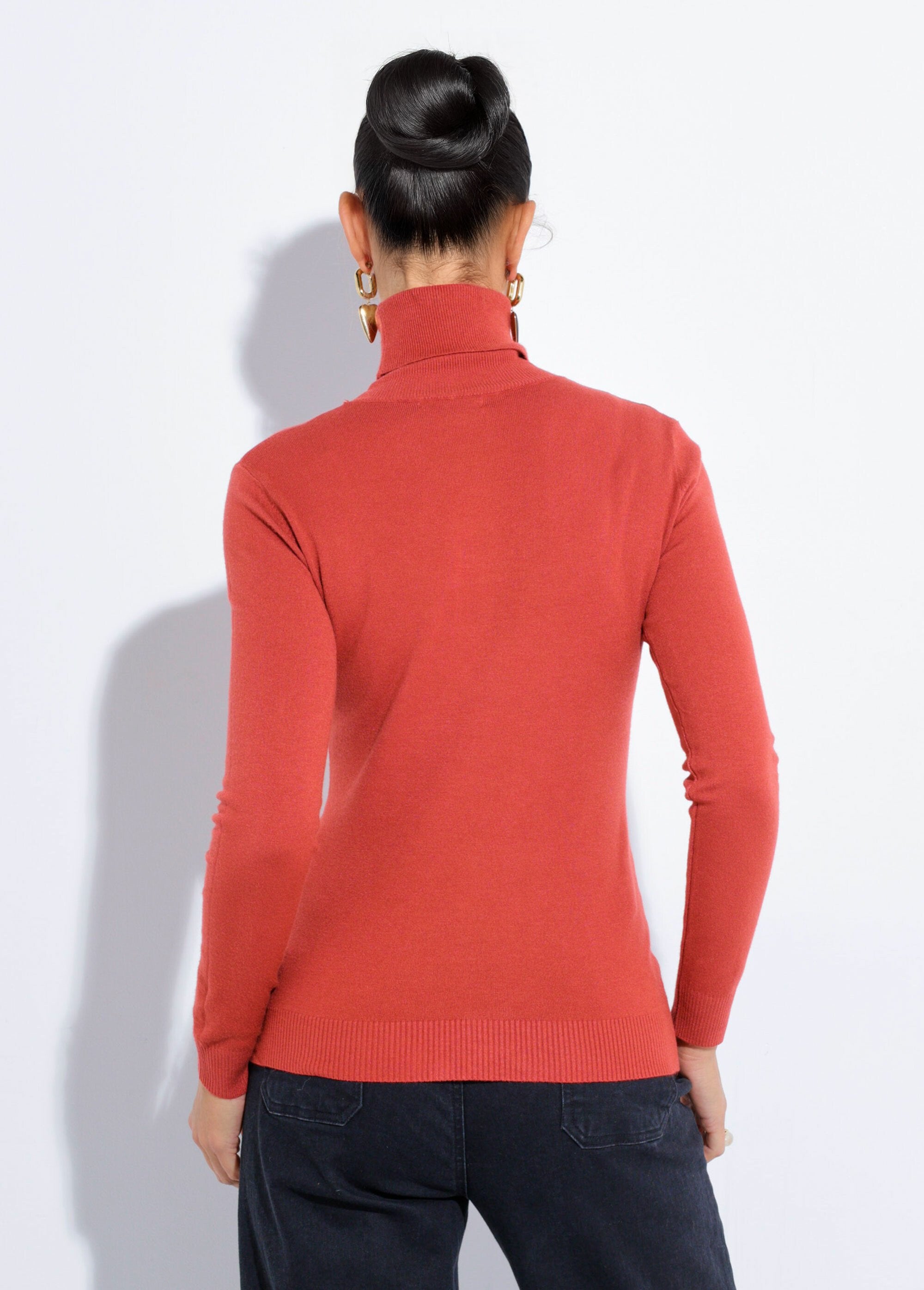 Thin_knit_sweater_with_a_turtleneck_Brick_DO1_slim