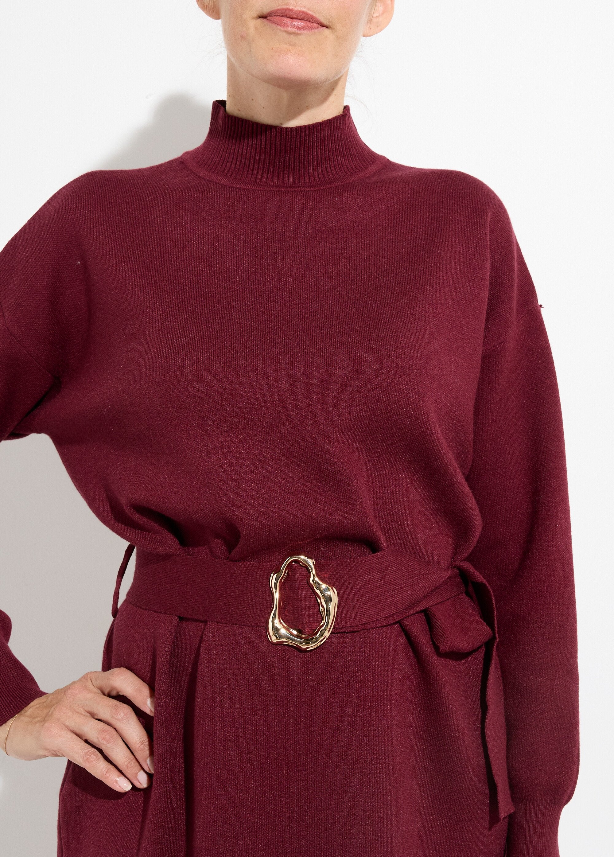 High-neck_sweater_dress_with_metal_belt_Bordeaux_DE1_slim