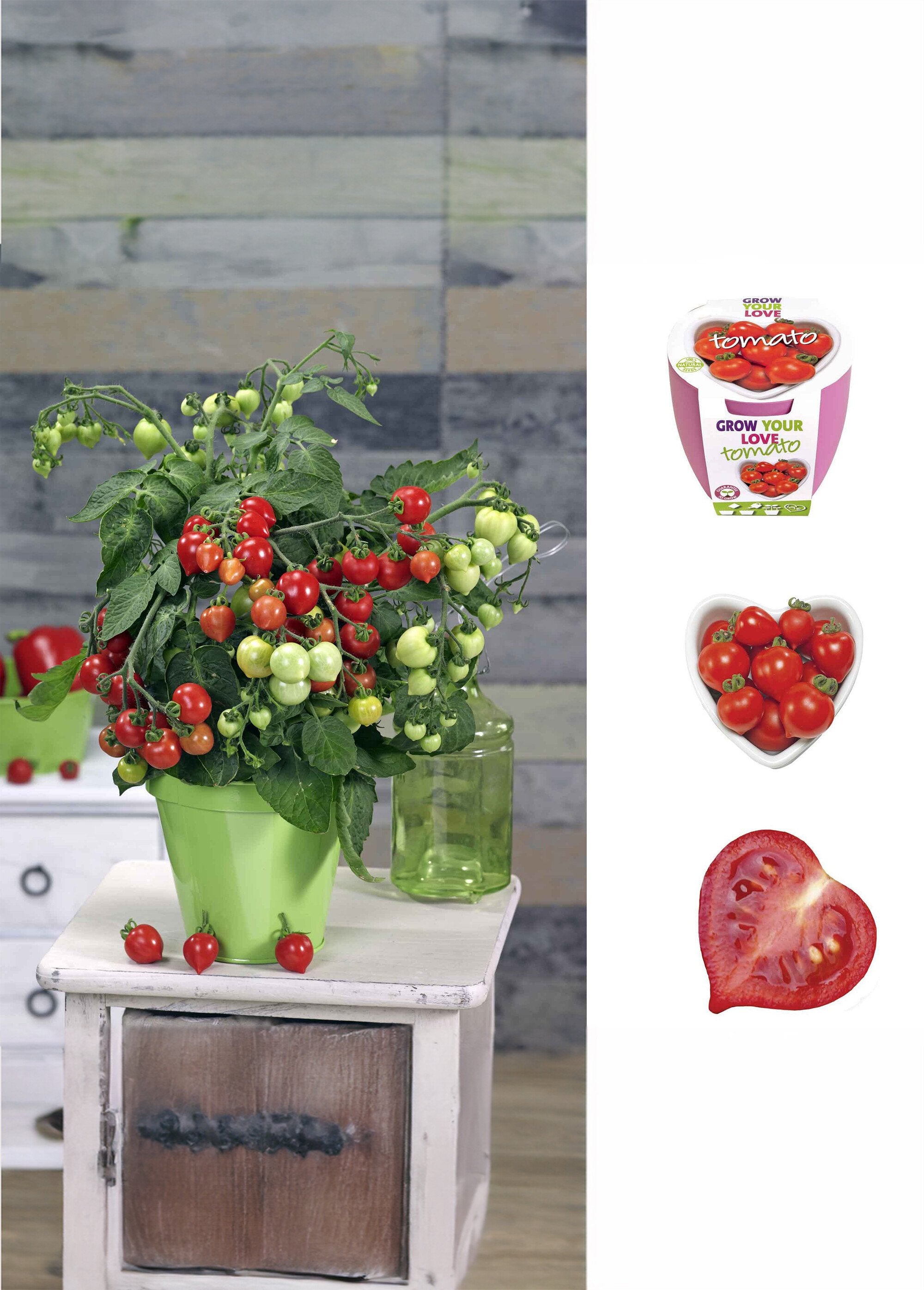 Heart_tomato_and_cherry_growing_kit_Red_FA2_slim